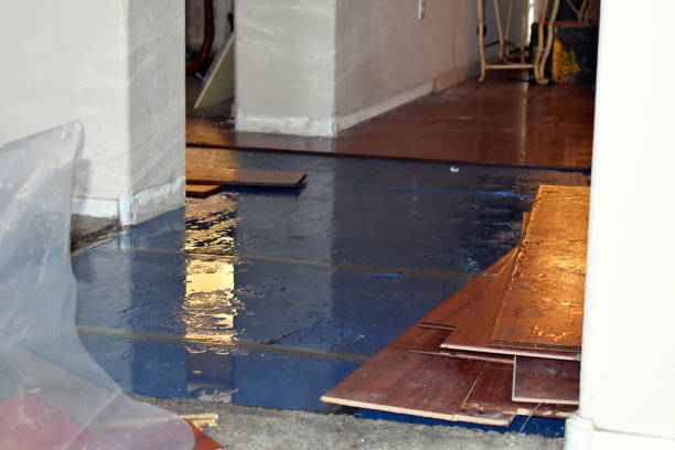 Professional Emergency Water Damage Restoration technician working in Belle Mead, NJ